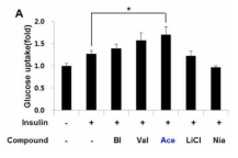 Glucose uptake 실험 결과