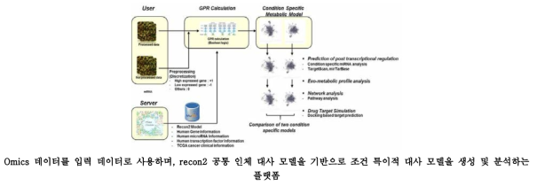 대사 시뮬레이션 플랫폼 모식도.