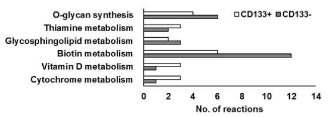 CD133+ 세포와 CD133- 세포의 대사 네트워크의 비교 결과.