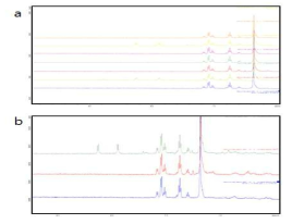 cpmg 기반 1D NMR 실험을 이용한 MDM2 단백질과 화합물 간 결합활성 스크리닝.