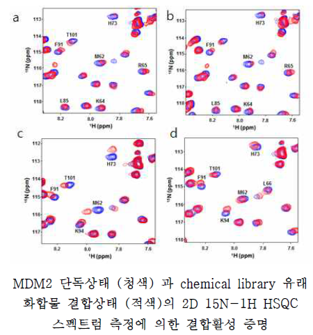 2D HSQC 실험에 의한 MDM2 단백질과 화합물 간 결합활성 측정.