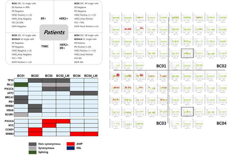 단일 세포 분석한 환자 정보 및 단일세포 개수, Genome profiles