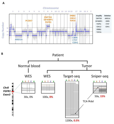 (A) Copy number variation of Her2(+) breast cancer (B) Rare variant detection by laser cell isolation (Sniper-seq)