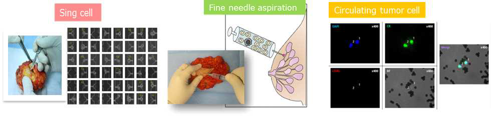 단일세포, CTC, 미세시료 샘플링 구축