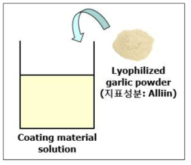 코팅 마늘분말용액 제조 모식도
