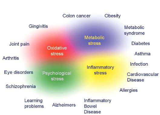 Health is not the absence of disease but the maintenance of overarching processes controlling health status.