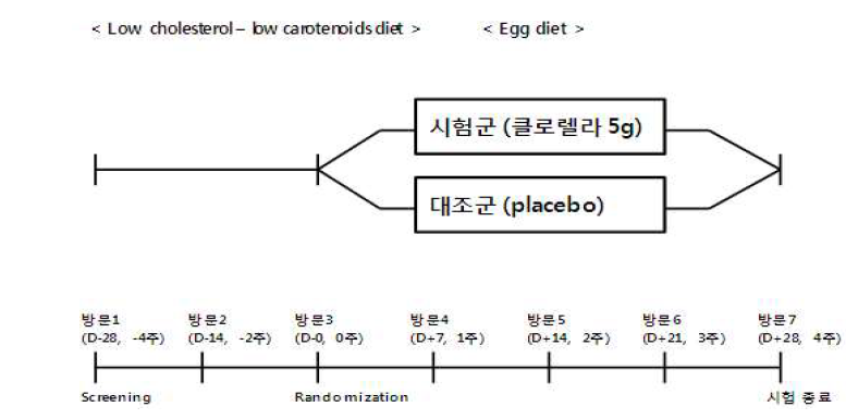 Experimental design of Egg loading model