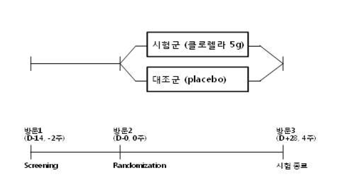 Experimental design of obesity model