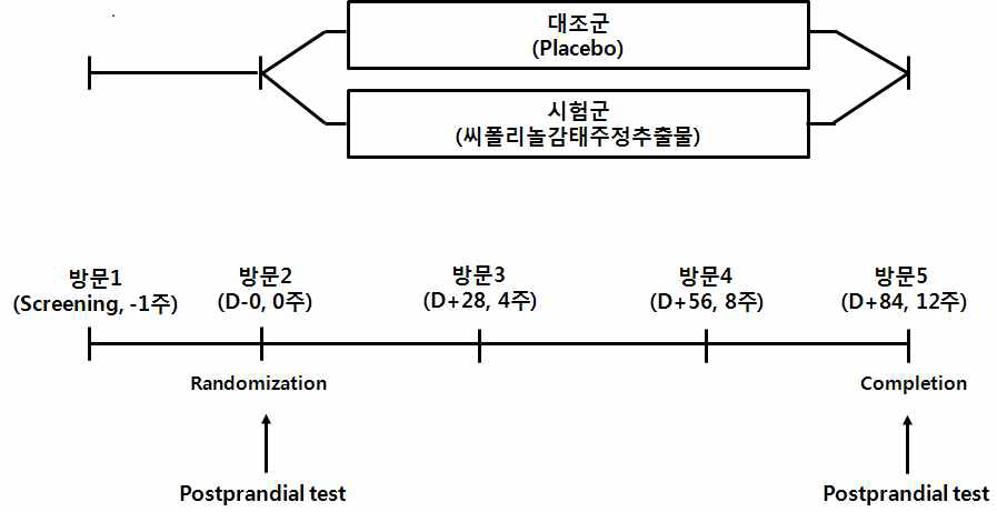 Experimental design of obesity model