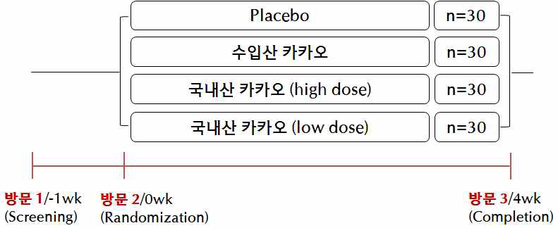 Experimental design of endothelium-dependent vasodilation