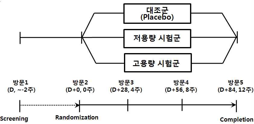 Experimental design of sarcopenia model