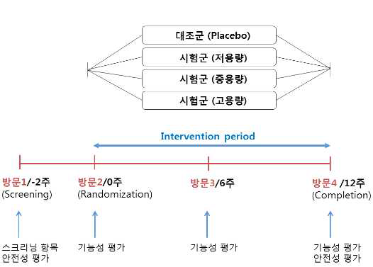 Experimental design of menopausal model