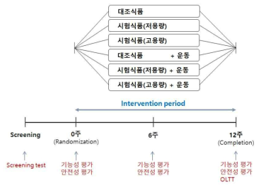 Experimental design of menopausal model