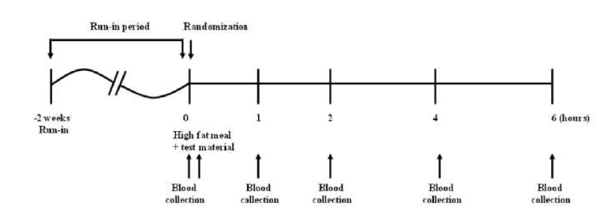 Experimental design of single administration (parallel design)