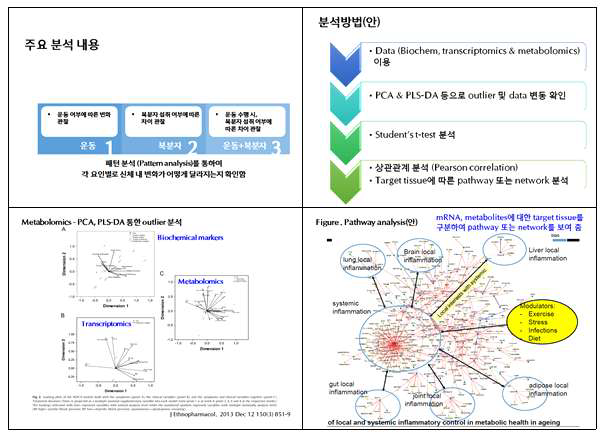 전통천연물 효과 확인 분석안