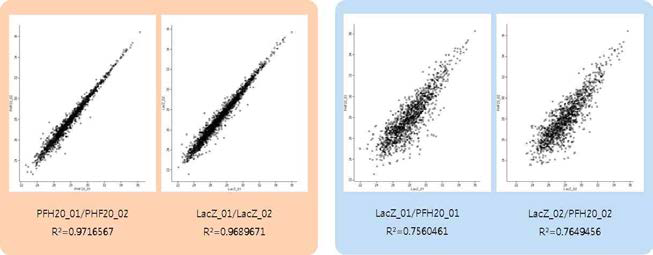 대조군(LacZ)과 실험군(PHF20)의 intensity ratio 비교