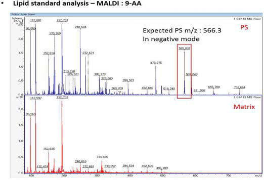 Phosphatidyl serine standard의 MALDI-TOF 분석