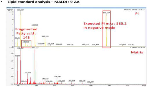 Phosphatidyl inositol standard의 MALDI-TOF 분석 크로마토그램