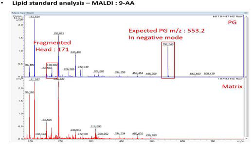 Phosphatidyl glycerol standard의 MALDI-TOF 분석 크로마토그램