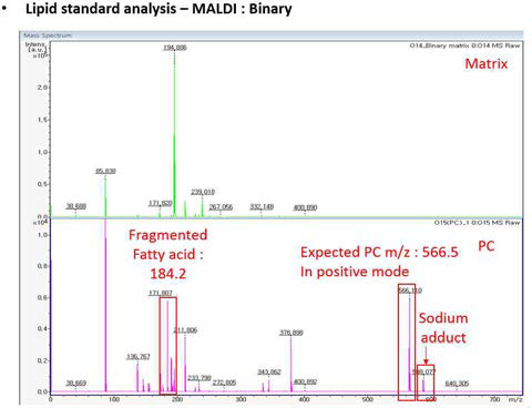 Phosphatidyl choline standard의 MALDI-TOF 분석 크로마토그램