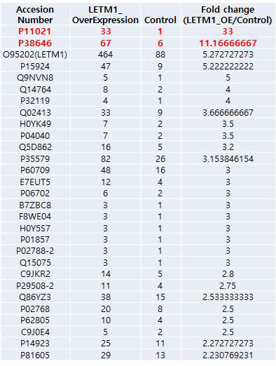 LETM1 과발현시킨 후 프로티오믹스 분석 결과