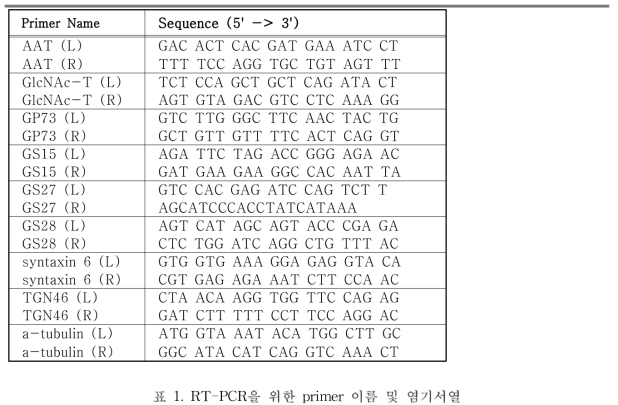 RT-PCR을 위한 primer 이름 및 염기서열