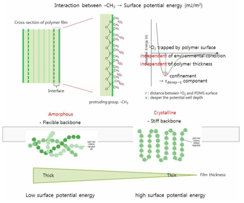 필름 두께에 따른 표면상태 (포텐셜에너지) 단일항산소와의 관계 모식도.