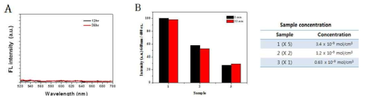 PBS상에서 광기능성 소재의 용출 여액 형광 스펙트럼 (λex. 400nm) (A), 광분해실험- 광에너지 조사 전 후의 광기능성 소재의 형광 세기 비교 및 도입 농도 (B)