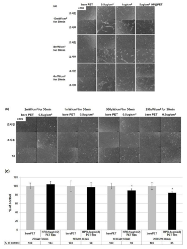 Hp @ PET film 에 광에너지 조사에 의해 생성되는 활성산소가 인간유래 중간엽 줄기세포에 미치는 영향.