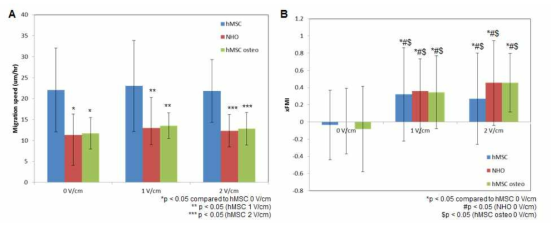 전기자극에 의한 hMSC, NHO, hMSC osteo 의 세포이동 결과