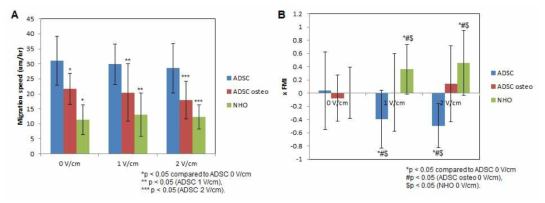 전기자극에 의한 ADSC, ADSC osteo, NHO 의 세포이동 결과