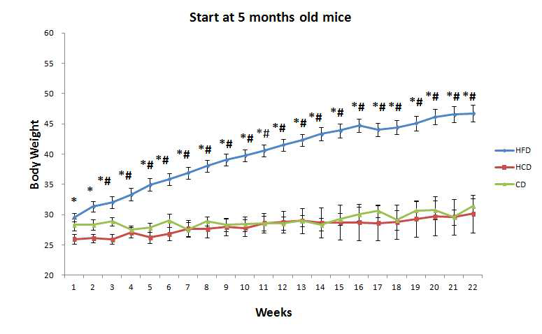 5개월령 HBx TG 마우스에 고지방, 고탄수화물 식이를 6개월 동안 먹임.