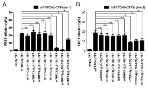 FRET signal 의 차이로 tetrameric structure interaction domain 을 찾음.