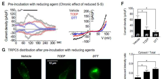 Disrupted disulfide bonds by pharmacologic reductant are responsible for the impaired activity of TRPC5.