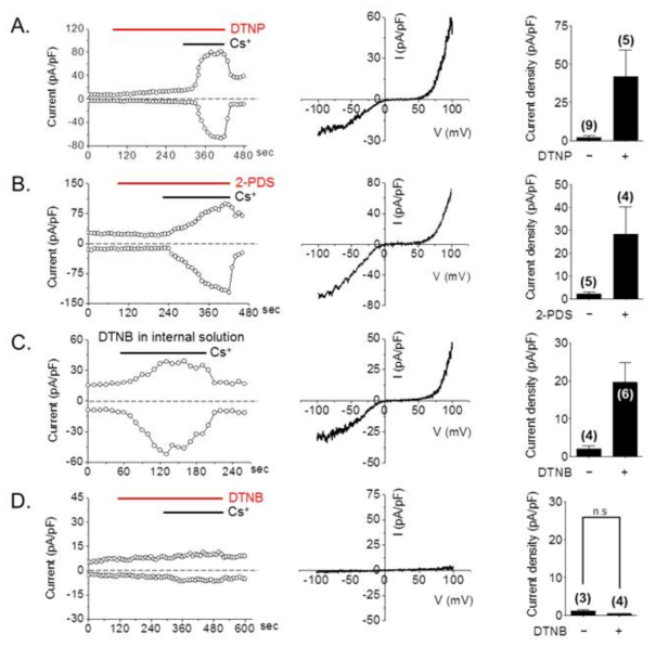 Oxidants activate TRPC4 channel via cytosolic modification