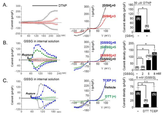 TRPC5 is activated by intracellular GSSG that is reversed by GSH and DTT.