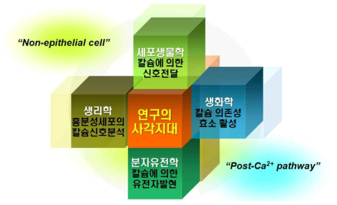 암세포 칼슘 연구의 현주소