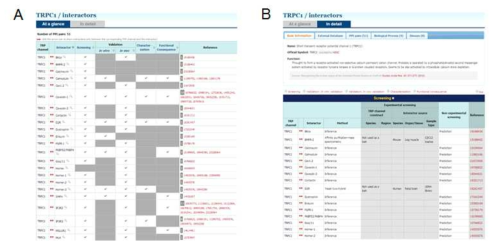 TRP channel 관련 PPI information. 각 TRP channel 별 (A) 개괄적 PPI 정 보 및 (B) 상세한 PPI 정보