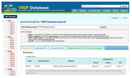 TRIP Database search tool