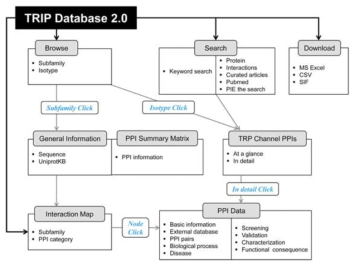 A diagram of navigating the TRIP Database 2.0.