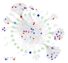 An example of integration of TRP channel PPI with gene expression profile data