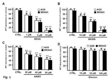 Effect of NDGA, MK886, AA861, and zileuton on cell viability with a MTT–based viability assay in AGS and MKN45 cells.