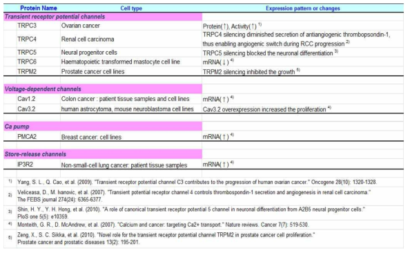 Oxidative stress에 의해 번역후 수식되는 칼슘 툴킷과 암발생과의 관련성