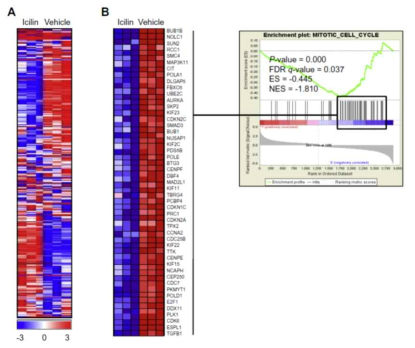Icilin에 의해 변화하는 유전자 발현 프로파일 (A) vehicle 또는 icilin 처리에 따른 유전자 변화의 unsupervised hierarchical clustering (B) vehicle 또는 icilin 처리에 따른 유전자 변화의 heatmap 및 enrichment plot