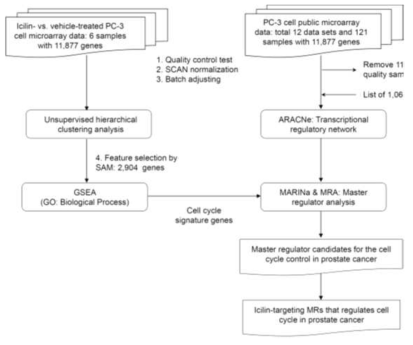 Prostate cancer-specific transcriptional regulatory network 분석 flowchart.