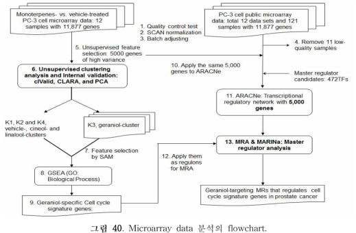 Microarray data 분석의 flowchart.