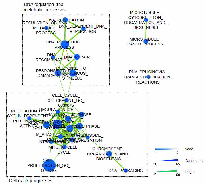 Network visualization of GSEA results