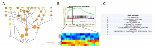 Cyclosporin A 자극에 따른 Microarray data analysis (A) 변화되는 gene set (GO analysis) (B and C) ion transport gene set 및 gene list