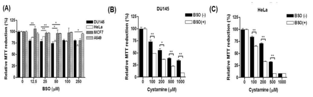 Buthionine sulphoximine (BSO)에 의한 세포독성