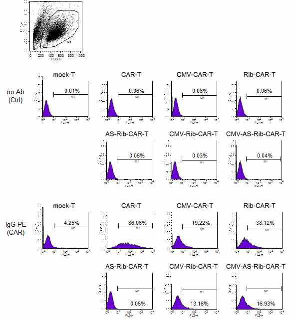 CAR expression in each of retrovirustransduced T cells by FACS.